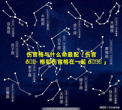 伤官格与什么命最配「伤官 🌷 格和伤官格在一起 💐 」
